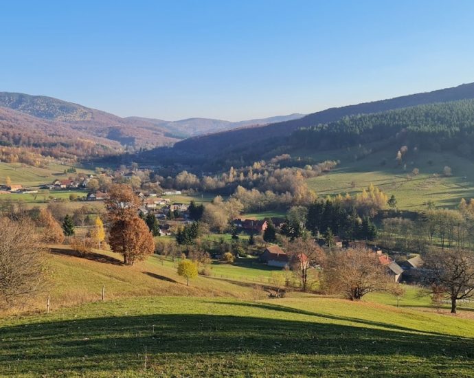 a scenic view of a valley in the mountains